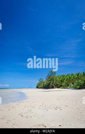 La bassa marea in spiaggia borneo malaysia paesaggio Foto Stock