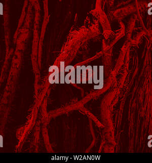 Estratto di corteccia di albero texture con il rosso e il giallo il colore. Abstract sfondo di rosso e giallo. Texture di sfondo. Foto Stock