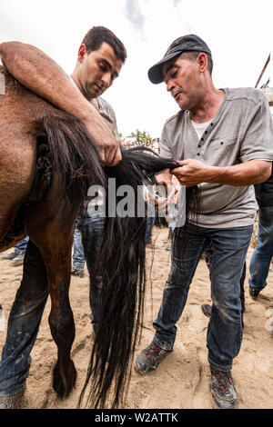 Rapa Das Bestas Foto Stock