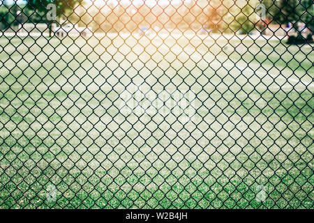 Primo piano del black metal netting wire mesh recinzione contro campo verde prato. Modello di texture di sfondo di superficie di maglia di catena wire-mesh rabitz. Foto Stock