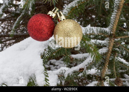 Albero di Natale sfondo. Rosso e oro lampadine di Natale appeso ad una coperta di neve pino con copia spazio. Foto Stock