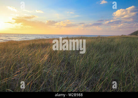 Grandi laghi di duna del tramonto d'erba. Tramonto sulla duna costiera erba sulla riva del lago Michigan in stato Hoffmaster Park di Muskegon. Foto Stock