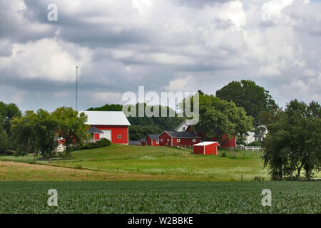 Bella estate paesaggio rurale con nuvoloso cielo grigio su edifici agricoli. Campo di grano in un primo piano. La Midwest USA, Wisconsin, zona di Madison. Foto Stock