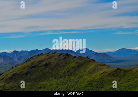 Vista in lontananza il Monte Denali mt Mckinley peak dal Monte Healy escursione sentiero con cielo blu con nuvole bianche sopra. Parco Nazionale di Denali Foto Stock