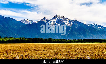 La forma piramidale Cheam montagna, o Cheam picco, che domina il Fraser Valley come si vede dal Lougheed autostrada vicino Agassiz, BC, Canada Foto Stock