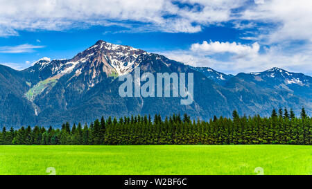 La forma piramidale Cheam montagna, o Cheam picco, che domina il Fraser Valley come si vede dal Lougheed autostrada vicino Agassiz, BC, Canada Foto Stock