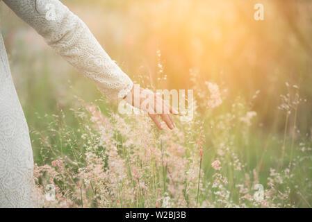 Mano sfocata del giovane bella donna toccando i picchi di frumento con la sua mano al tramonto. un prato con il disco solare. Foto Stock