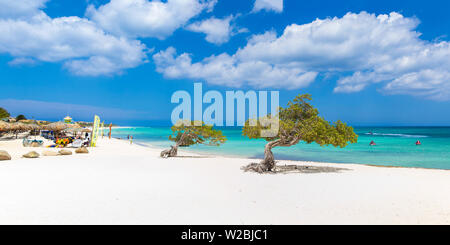 Caraibi, Antille olandesi, Aruba Divi Divi alberi su Eagle Beach Foto Stock