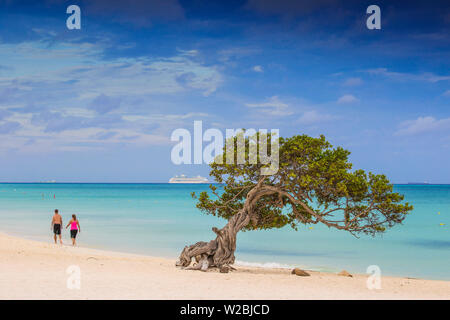 Caraibi, Antille olandesi, Aruba Divi Divi Tree su Eagle Beach Foto Stock