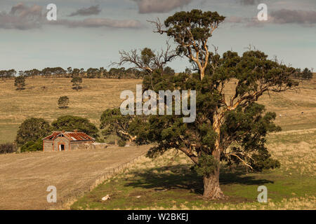 In Australia, in Sud Australia, la Barossa Valley, Mount Pleasant, Old Homestead Foto Stock