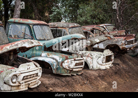 Australia, Western Australia, Sud-ovest, Boyup Brook, vecchi camion Foto Stock