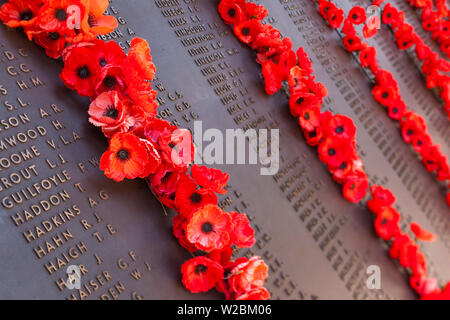 Australia, Territorio della Capitale Australiana, ACT, Canberra, Australian War Memorial, Sala della memoria, papaveri su elenchi di caduti soldati australiani Foto Stock