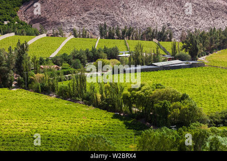 Il Cile, Valle Elqui, Rivadavia, vista valle con frutteti Foto Stock