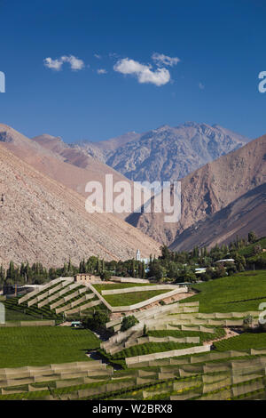 Il Cile, Valle Elqui, Montegrande, frutteti, vista valle Foto Stock