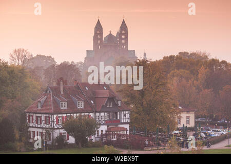 Germania Renania-Palatinato, Speyer, cattedrale Dom, dal fiume Rhein, crepuscolo, nebbia Foto Stock