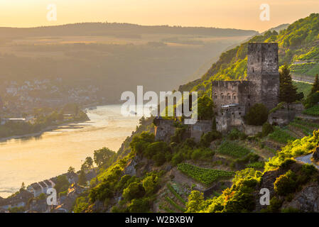 In Germania, in Renania Palatinato, il fiume Reno, Kaub, Burg Gutenfels o castello Kaub Foto Stock