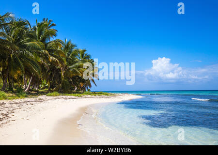 Repubblica Dominicana, Punta Cana, Parque Nacional del Este, l'isola di Saona, Catuano Beach Foto Stock