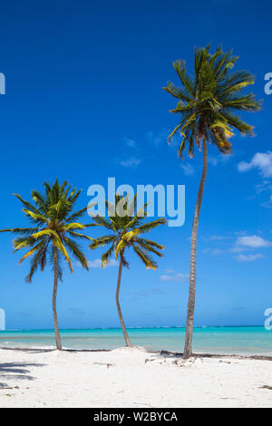 Repubblica Dominicana, Punta Cana, Cap Cana Foto Stock