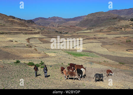 Woldya, Amhara Region, Etiopia Foto Stock