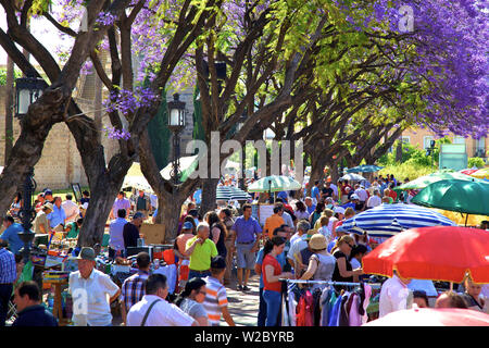 Mercato, Alameda Vieja, Jerez de la Frontera, la provincia di Cadiz Cadice, Andalusia, Spagna Foto Stock