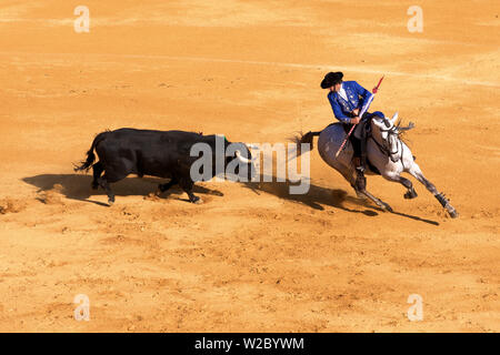 La corrida, Jerez de la Frontera, la provincia di Cadiz Cadice, Andalusia, Spagna Foto Stock