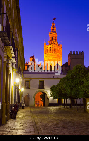 Spagna, Andalusia Provincia di Siviglia, Siviglia, Cattedrale di Siviglia, la torre Giralda (La Giralda) da Plaza del Patio de Banderas Foto Stock