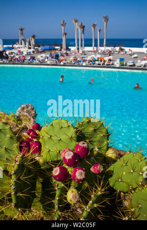 Spagna Isole Canarie, Tenerife, Puerto de la Cruz, Lago Martianez, acqua park progettata da artista Cesar Manrique, cactus Foto Stock