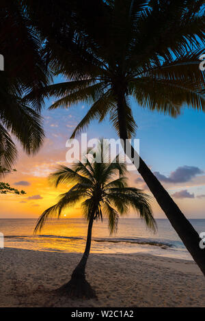 Caraibi, Grenada, la rivista Beach Foto Stock