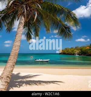 Caraibi, Grenada, Morne Rouge Beach Foto Stock