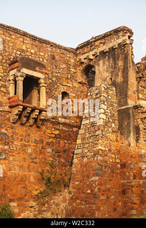 India, Delhi, New Delhi, Hauz Khas rovine del villaggio di madrassa Foto Stock