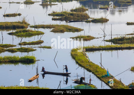Loktak Lago, Vicino Imphal, Manipur, India Foto Stock