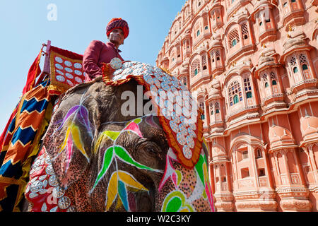 India Rajasthan, Jaipur, cerimoniale elefante decorato esternamente il Hawa Mahal, Palazzo dei venti, costruita nel 1799, (MR) Foto Stock