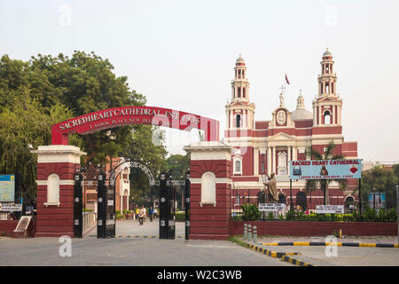 India, Delhi, New Delhi, la Cattedrale del Sacro Cuore Foto Stock