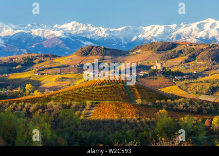 Vigneti & Castle, Grinzane Cavour, cuneese Langhe, nr Alba Langhe, Piemonte (o Piemonte o Piemonte), Italia Foto Stock