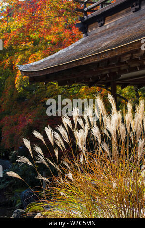 Giappone, Kyoto, Ginkakuji Temple - un sito del Patrimonio Mondiale Foto Stock