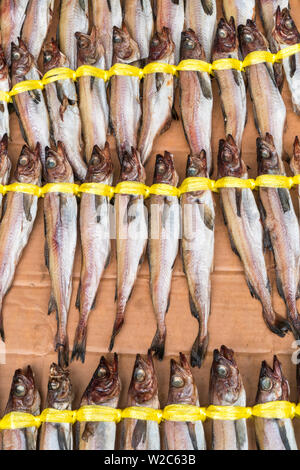 Il pesce per la vendita, Dongdaemun Market alimentare, Distretto di Dongdaemun, Seoul, Corea del Sud Foto Stock