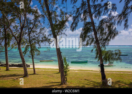 Palmar beach e alberi di casuarina, Flacq, East Coast, Mauritius Foto Stock