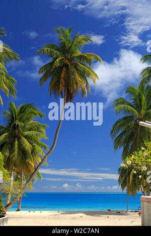 Maldive, South Ari Atoll, Mandhoo Isola Foto Stock