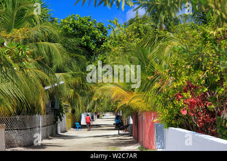 Maldive, South Ari Atoll, Mandhoo Isola Foto Stock
