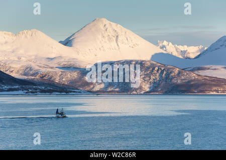 Barca da pesca nel fiordo, Kvaloya, regione di Troms, Norvegia Foto Stock