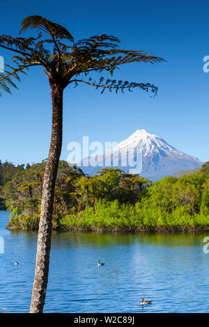 Mount Taranaki (Egmont) e il Lago di Mangamahoe, Isola del nord, Nuova Zelanda Foto Stock