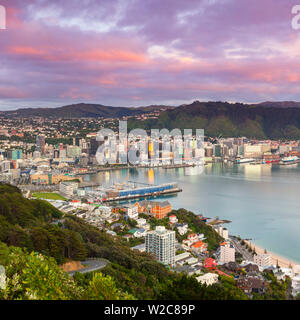 Vista in elevazione su Wellington centrale illuminata di sunrise, Wellington, Isola del nord, Nuova Zelanda Foto Stock