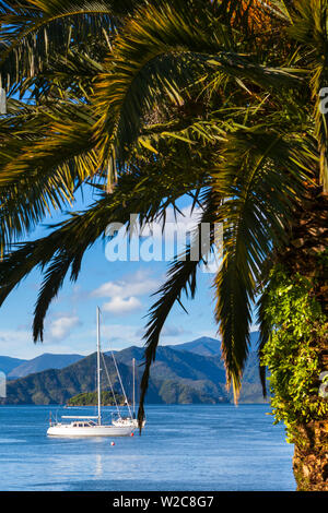 Yacht ancorati sulle idilliache Queen Charlotte Sound, Picton Marlborough Sounds, Isola del Sud, Nuova Zelanda Foto Stock