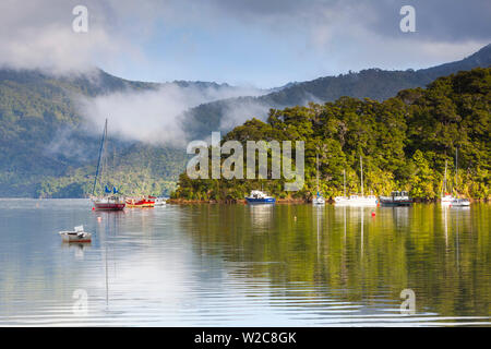 Ngakuta Bay, Queen Charlotte Sound, Marlborough Sounds, Isola del Sud, Nuova Zelanda Foto Stock