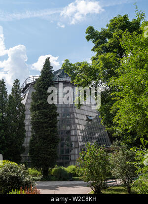 Palm serra costruita in stile brutalist fuori del calcestruzzo, presso il giardino botanico dell'Università Jagellonica a Cracovia vecchia, Polonia Foto Stock