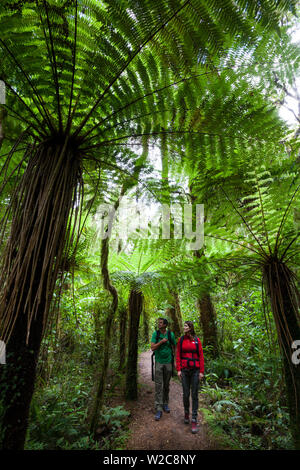 Giovane passeggiate nel parco nazionale, Karamea, nella costa occidentale dell'Isola del Sud, Nuova Zelanda Foto Stock