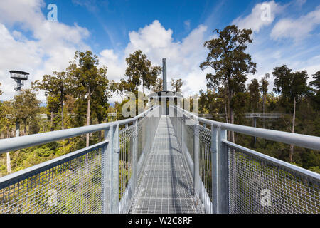 Nuova Zelanda, Isola del Sud, West Coast, Hokitika West Coast Treetops passerella sopraelevata passerella in acciaio 20 metri al di sopra del bosco Foto Stock