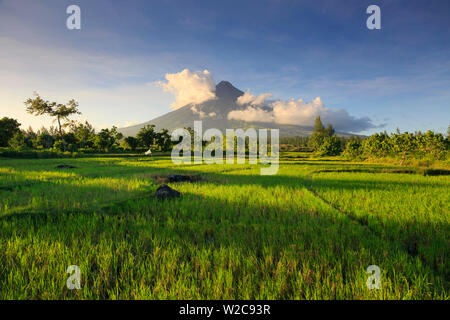 Filippine, Souteastern Luzon, Bicol, Vulcano Mayon Foto Stock