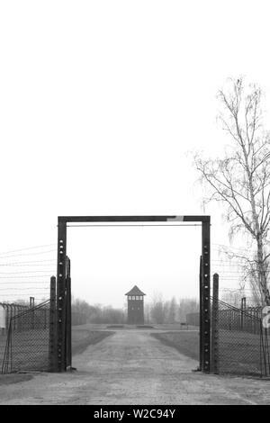 Ll di Auschwitz Birkenau Campo di concentramento Brzezinka, Polonia, Europa Foto Stock