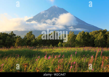 Opala river, Opala vulcano, penisola di Kamchatka, Russia Foto Stock